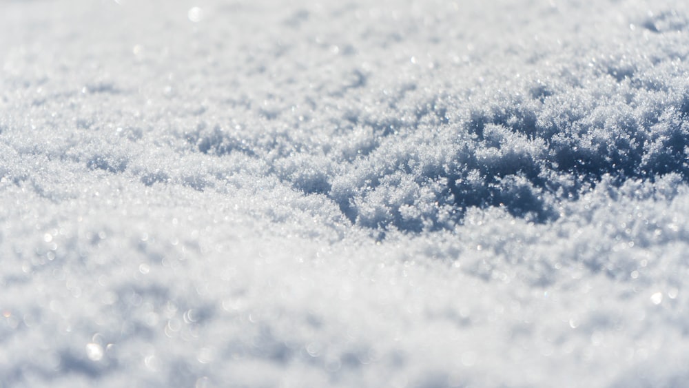 昼間の雪の接写写真