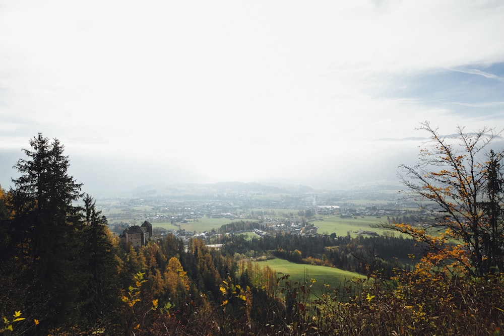 árvores verdes através das nuvens