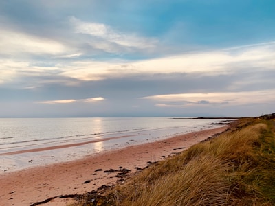 A coastal runner rug with a serene beach design.