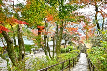 green trees during daytime