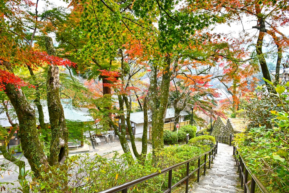 昼間の緑の木々