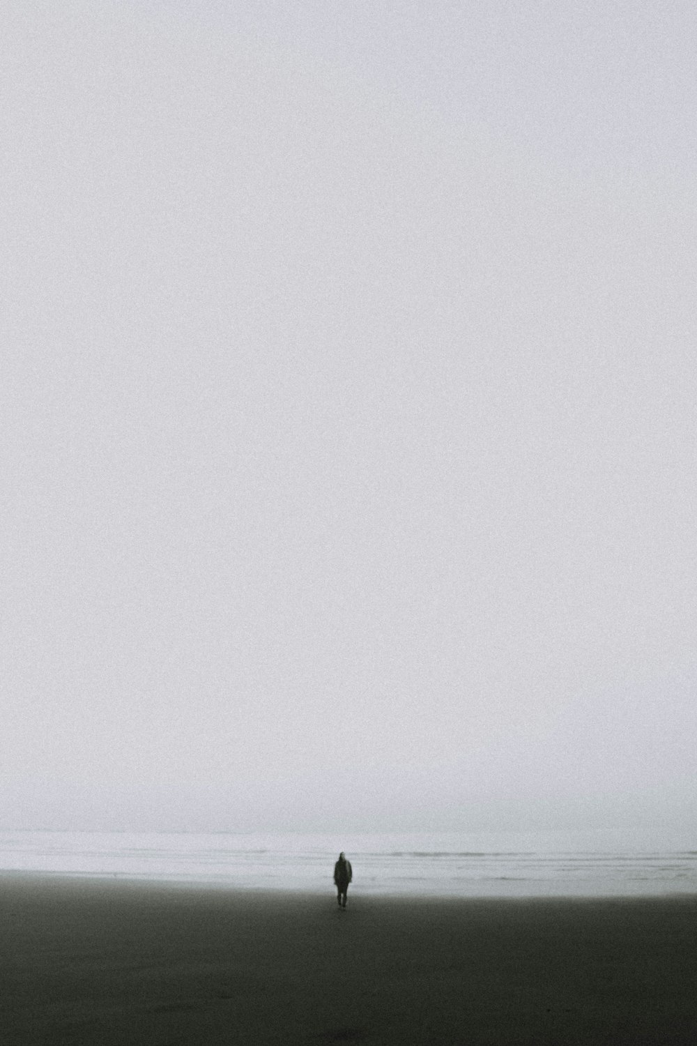 person standing on the seashore