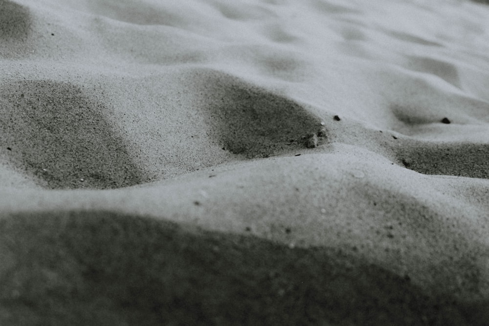 갈색 모래