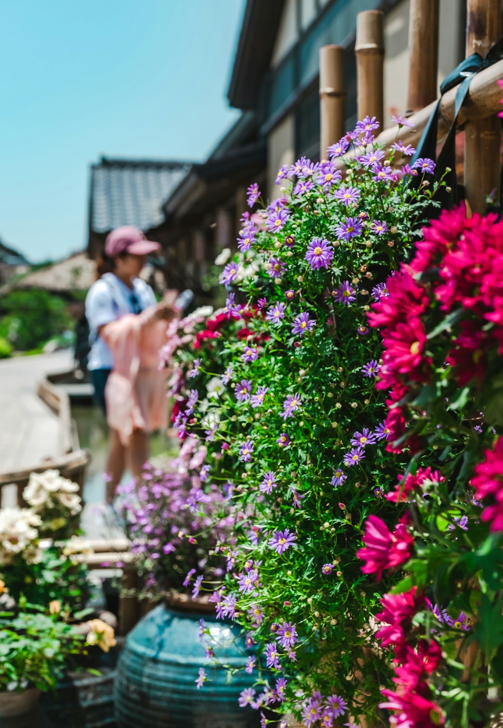 pink and purple-petaled flowers during daytime