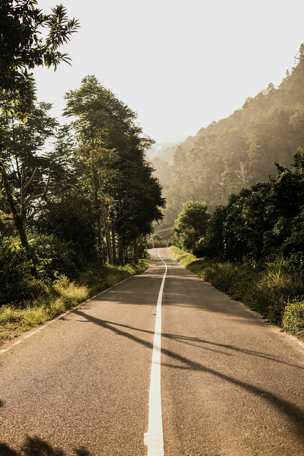 gray concrete road during daytime