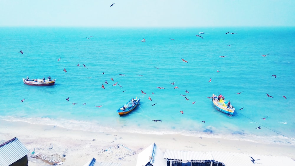 boats on calm water during daytime