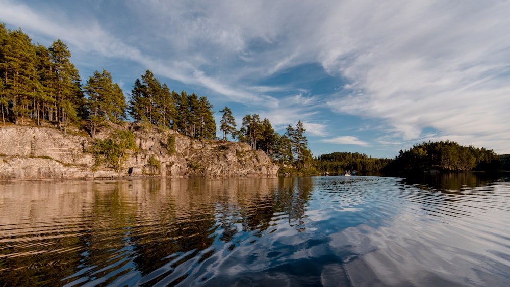 pine tree and lake