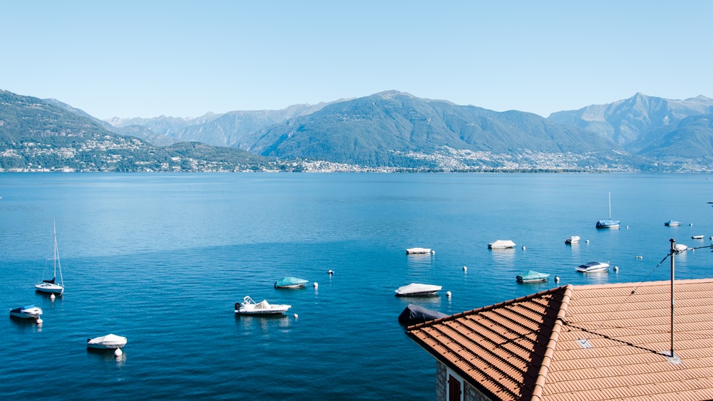 assorted-color speed boats near mountains