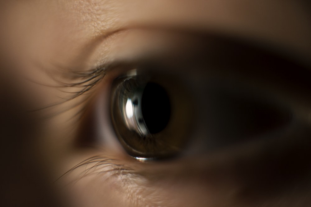 selective focus photo of person's eye