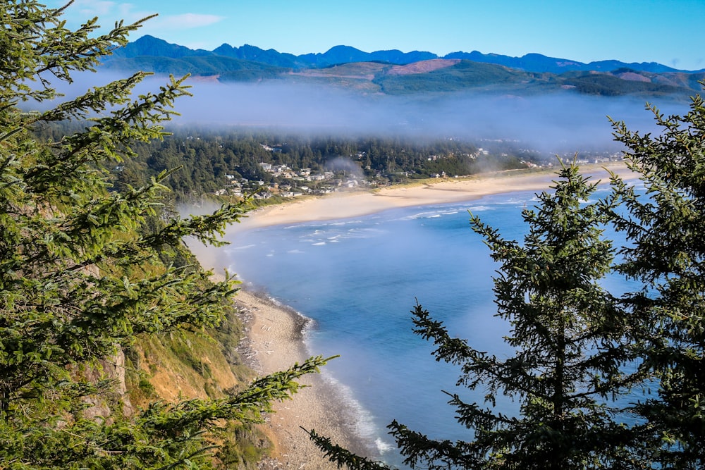 aerial photography of island and ocean