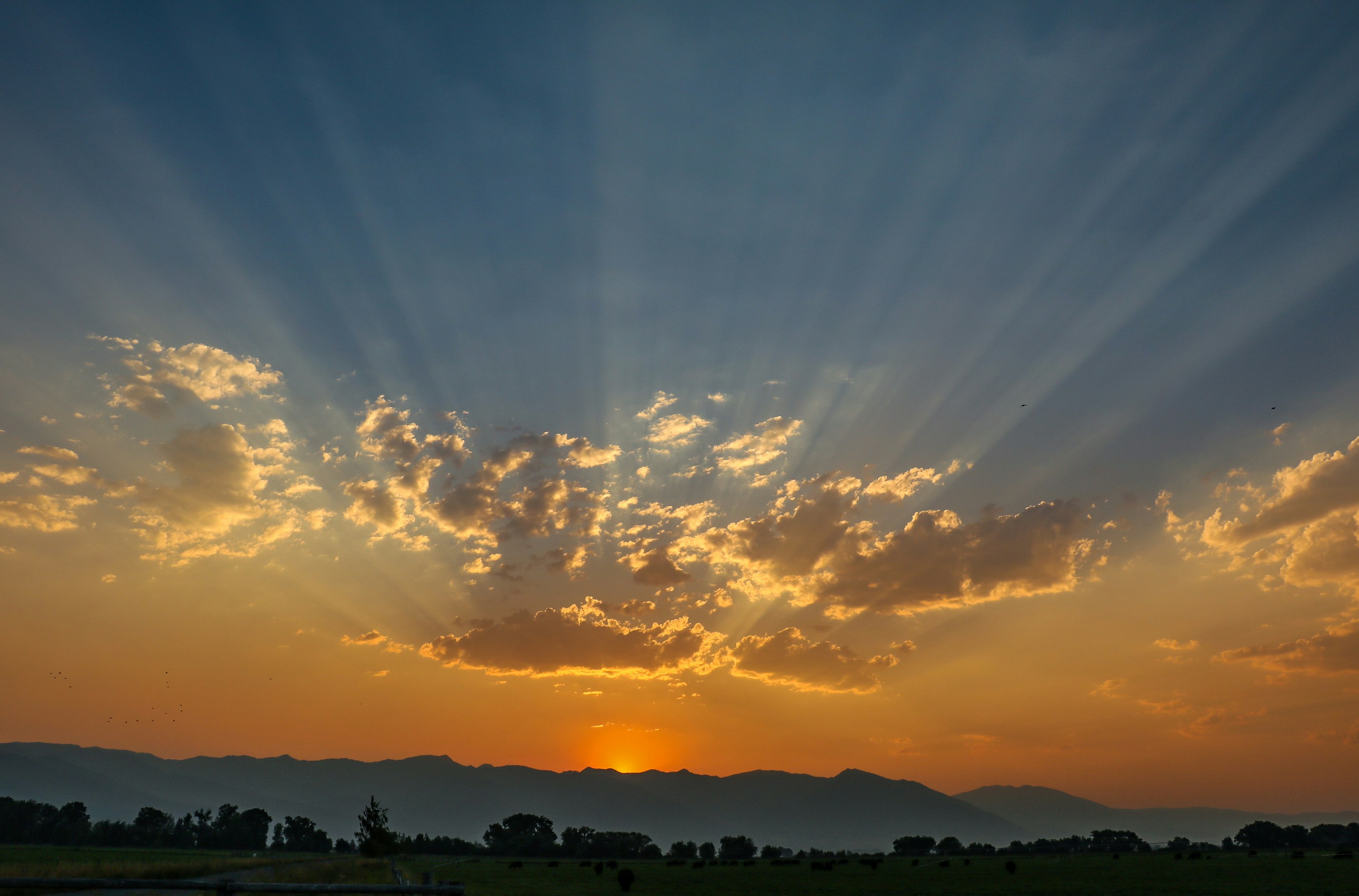 panoramic photo of golden hour