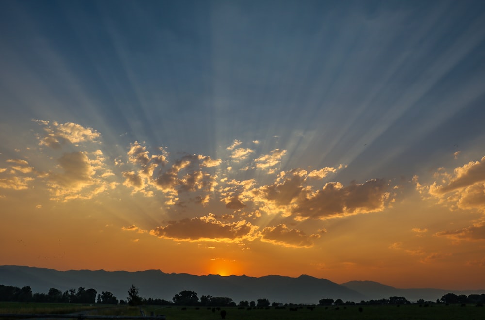 panoramic photo of golden hour