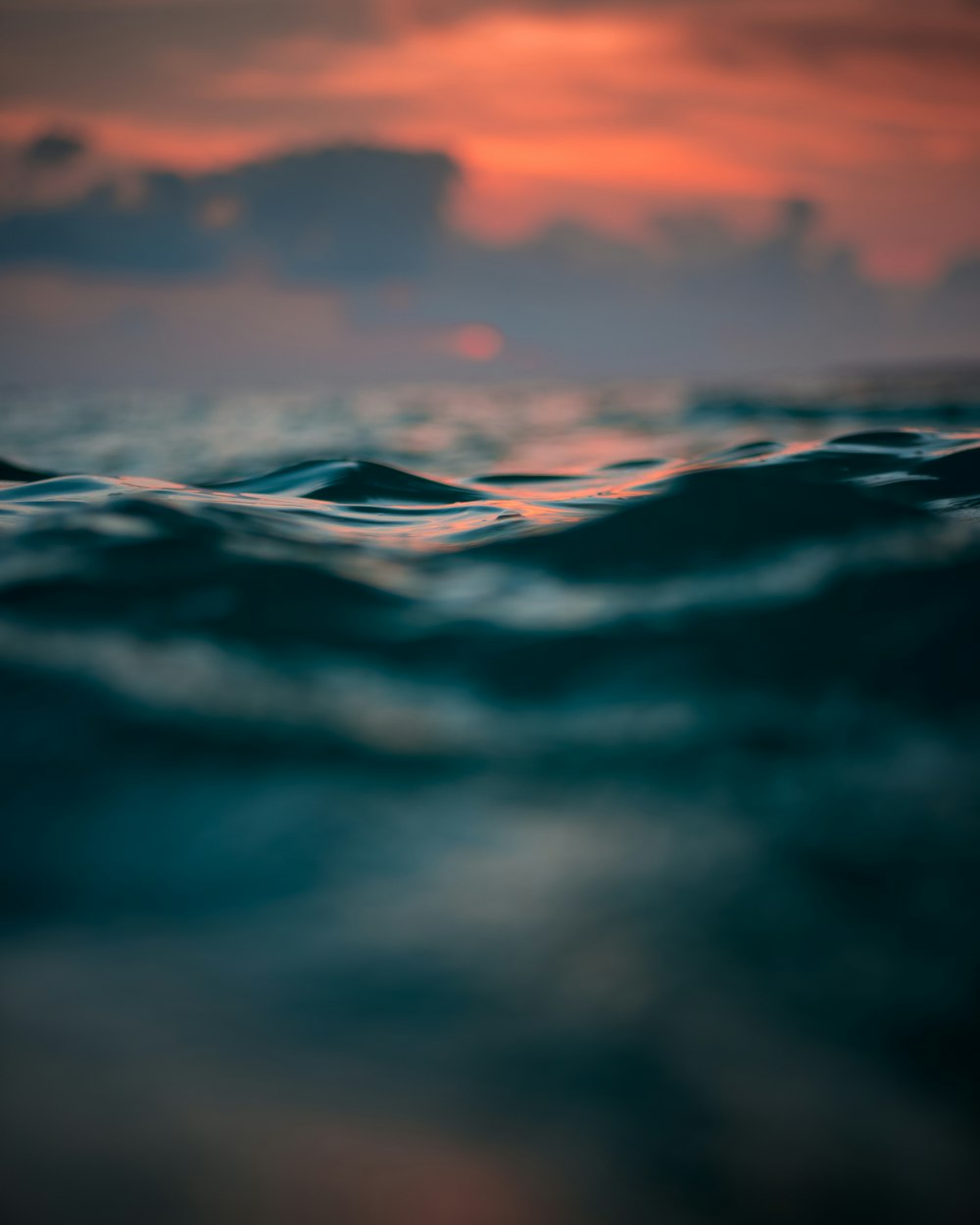 selective focus photography of water