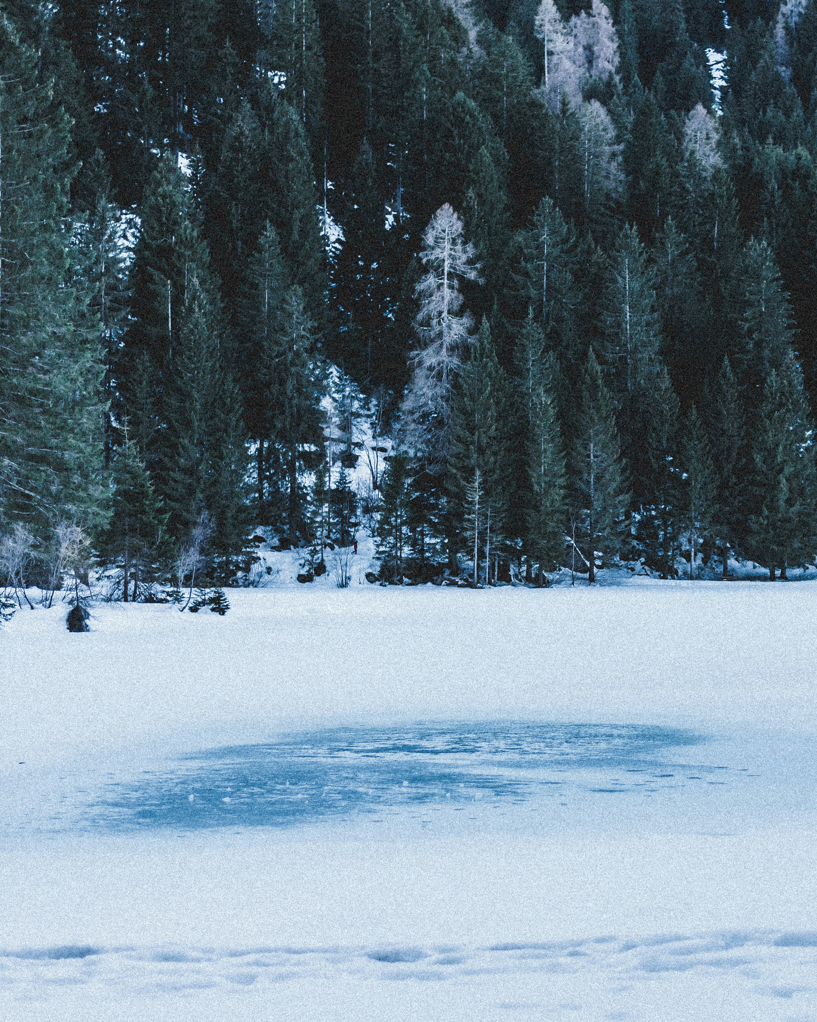 Photo by davide_pietralunga