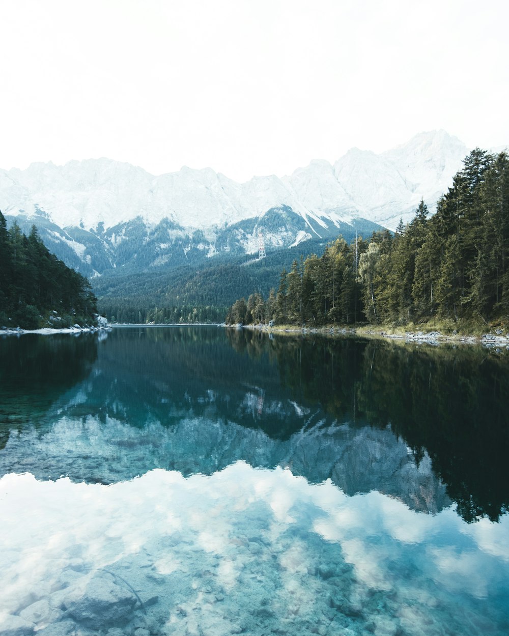 green trees beside body of water during daytime