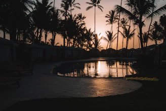 Cozy villa with a swimming pool surrounded by palm trees at sunset.