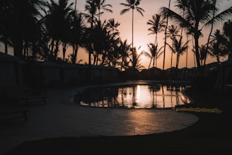 Luxury villa with a swimming pool and palm trees at sunset.