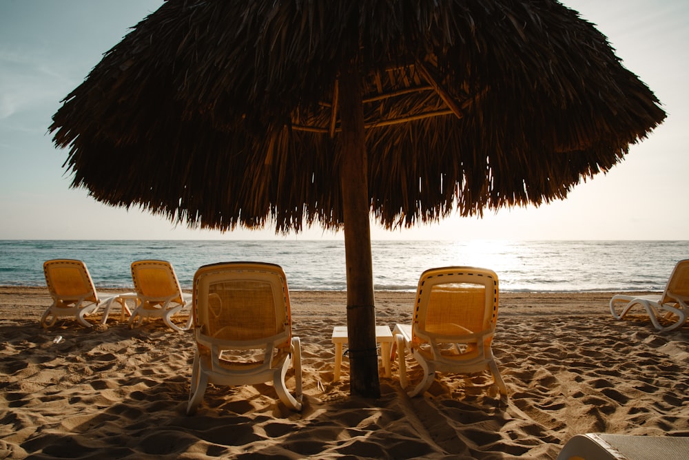 two yellow adirondack chairs under hut