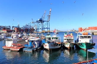A busy port scene showing cargo ships docked with cranes loading containers under a clear sky.