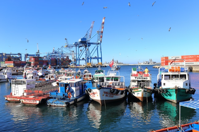 A busy port scene with cargo ships and containers under a clear blue sky.
