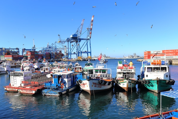 A busy port scene showing cargo ships docked with cranes loading containers under a clear sky.