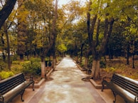 Walking paths lined with trees and benches inviting residents for a peaceful stroll.