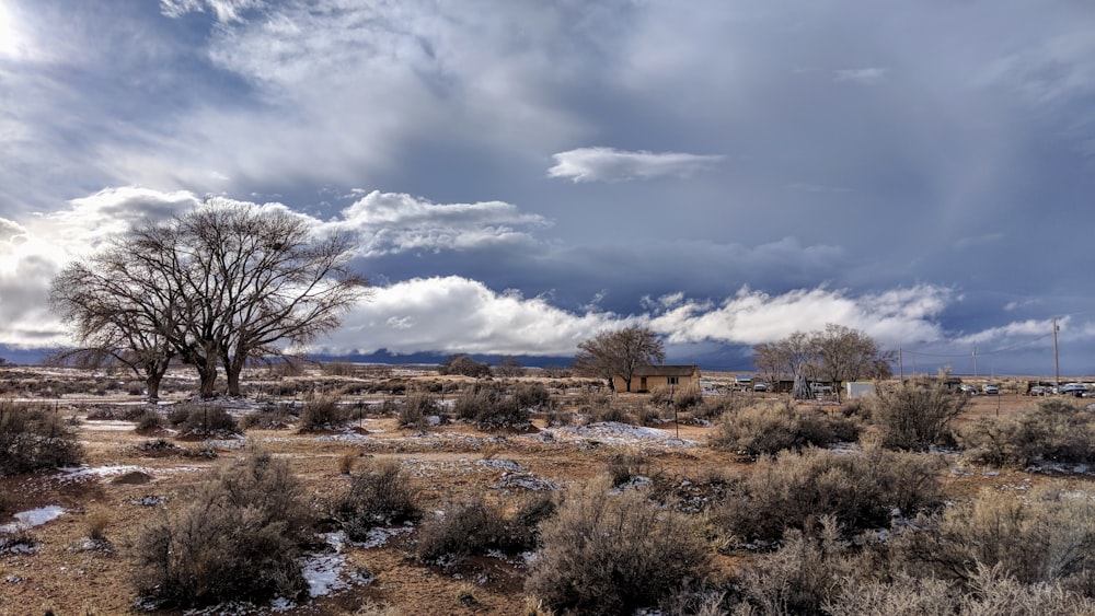 landscape photography of grass field with trees under cloudy sky