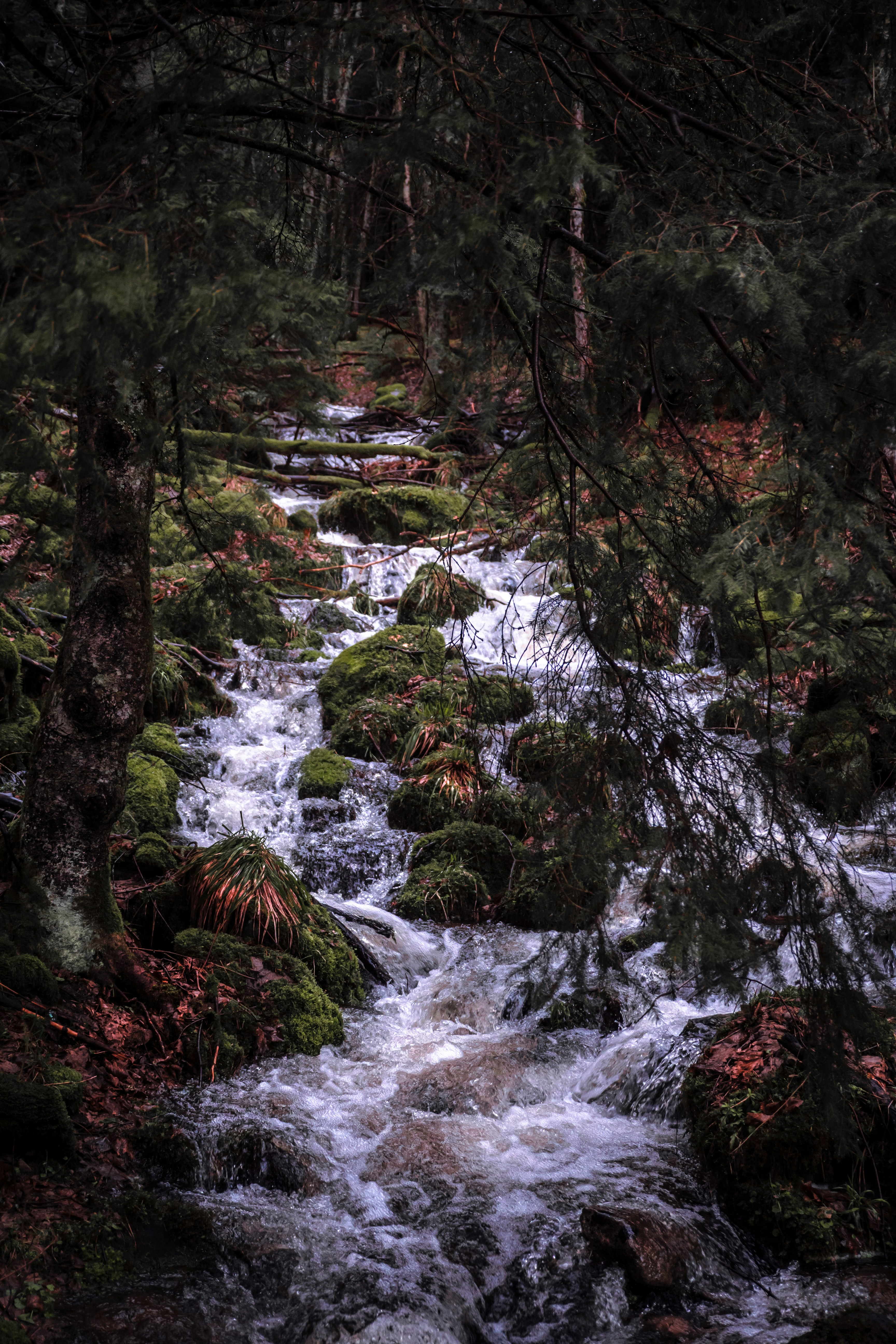 Photo by davidleveque