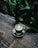 A glass cup of matcha latte sits on a wooden surface, surrounded by lush green foliage. The latte features intricate latte art on its surface, showcasing a leaf pattern.