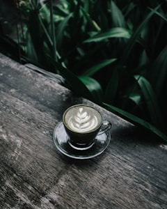 Organic Matcha Powder