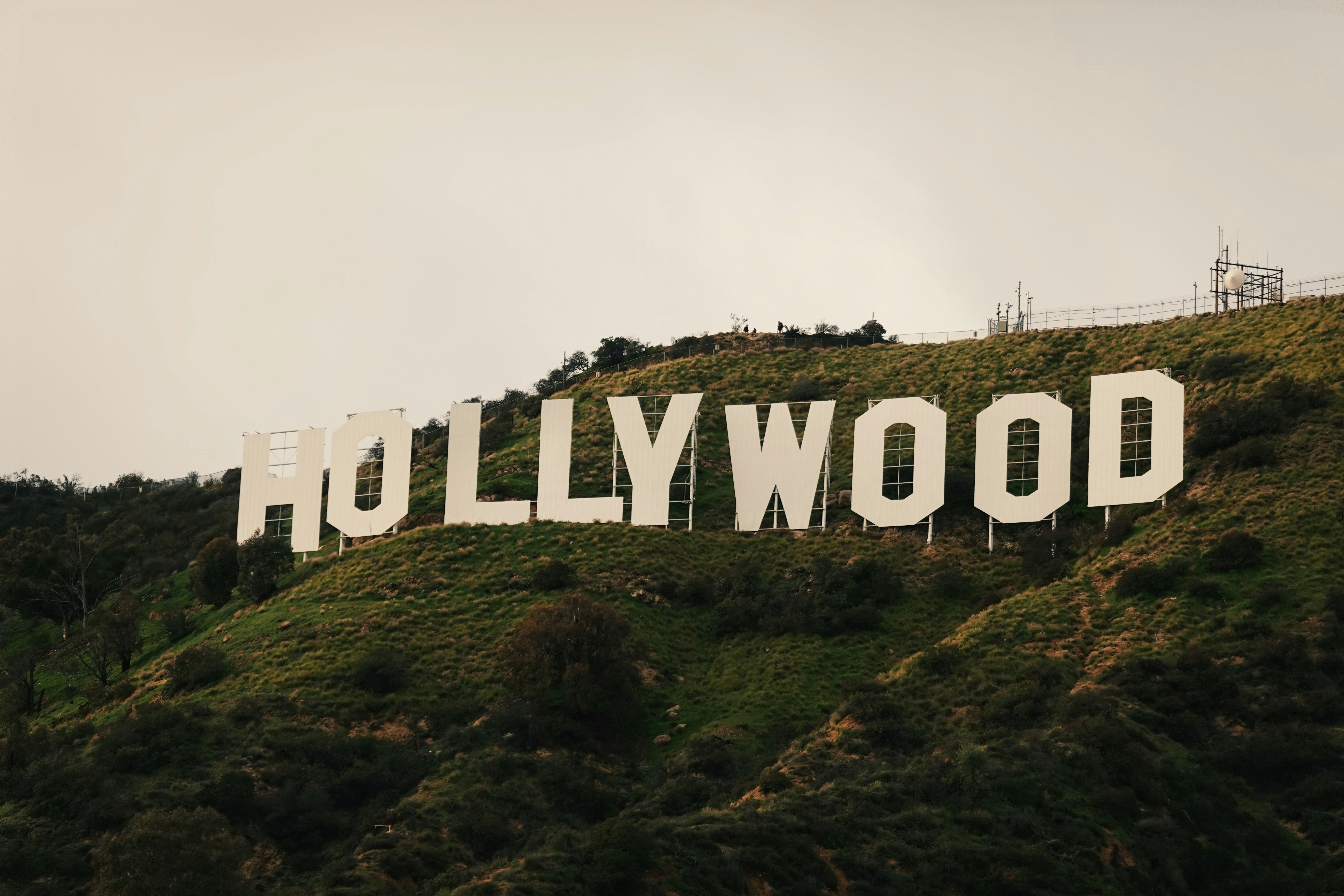 HOLLYWOOD standie on hill