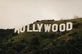 Large white letters spelling out 'HOLLYWOOD' are prominently displayed on a lush green hillside. The iconic sign stands amidst a natural landscape with scattered trees and shrubbery. The sky appears overcast, casting soft lighting over the scene.