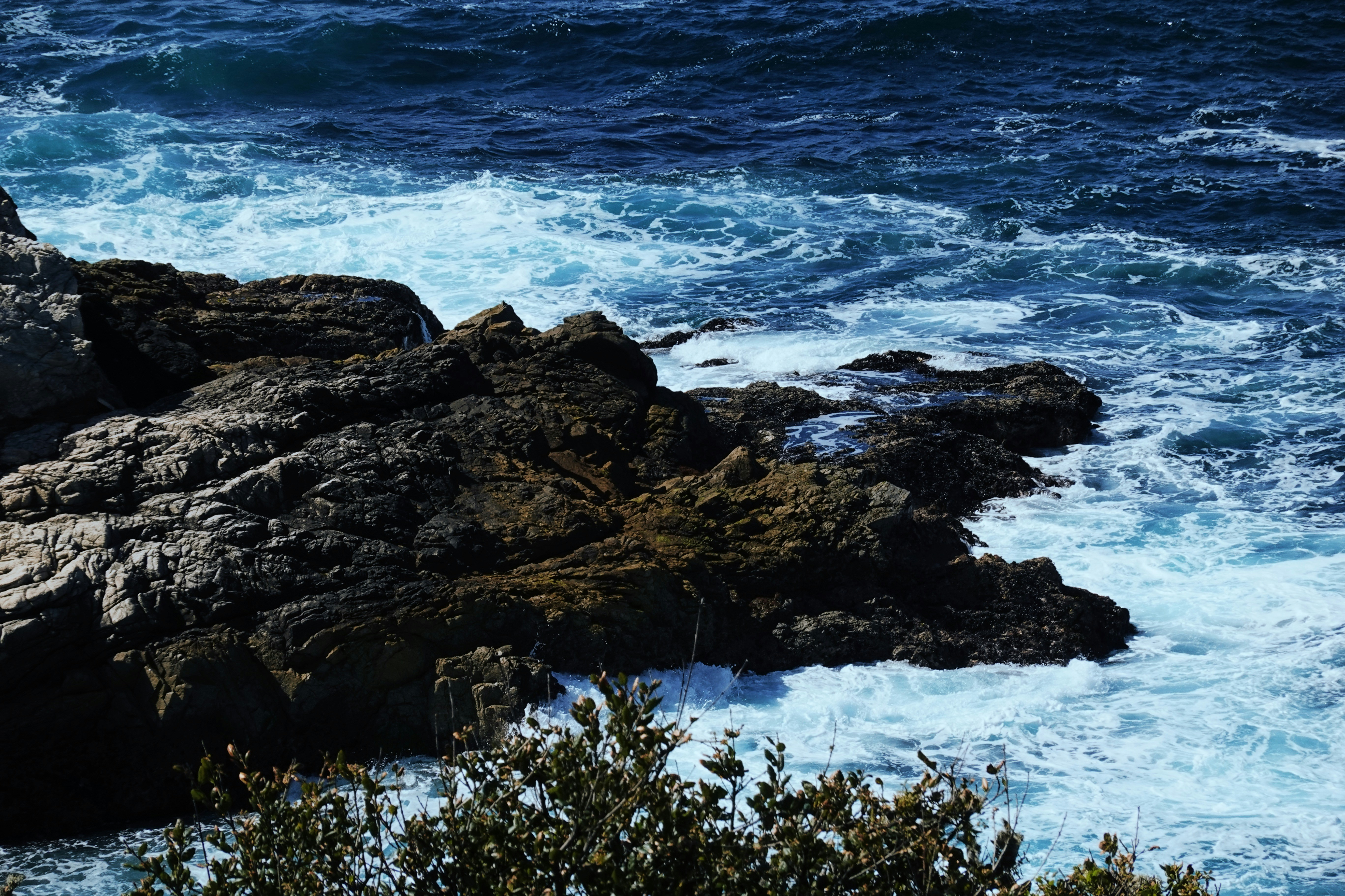 Photo by jessechan42