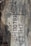 Wooden surface with engraved markings including a circular symbol containing 'PRL' and various codes such as '19 19', 'US', and other numerical figures, some of which have worn off.