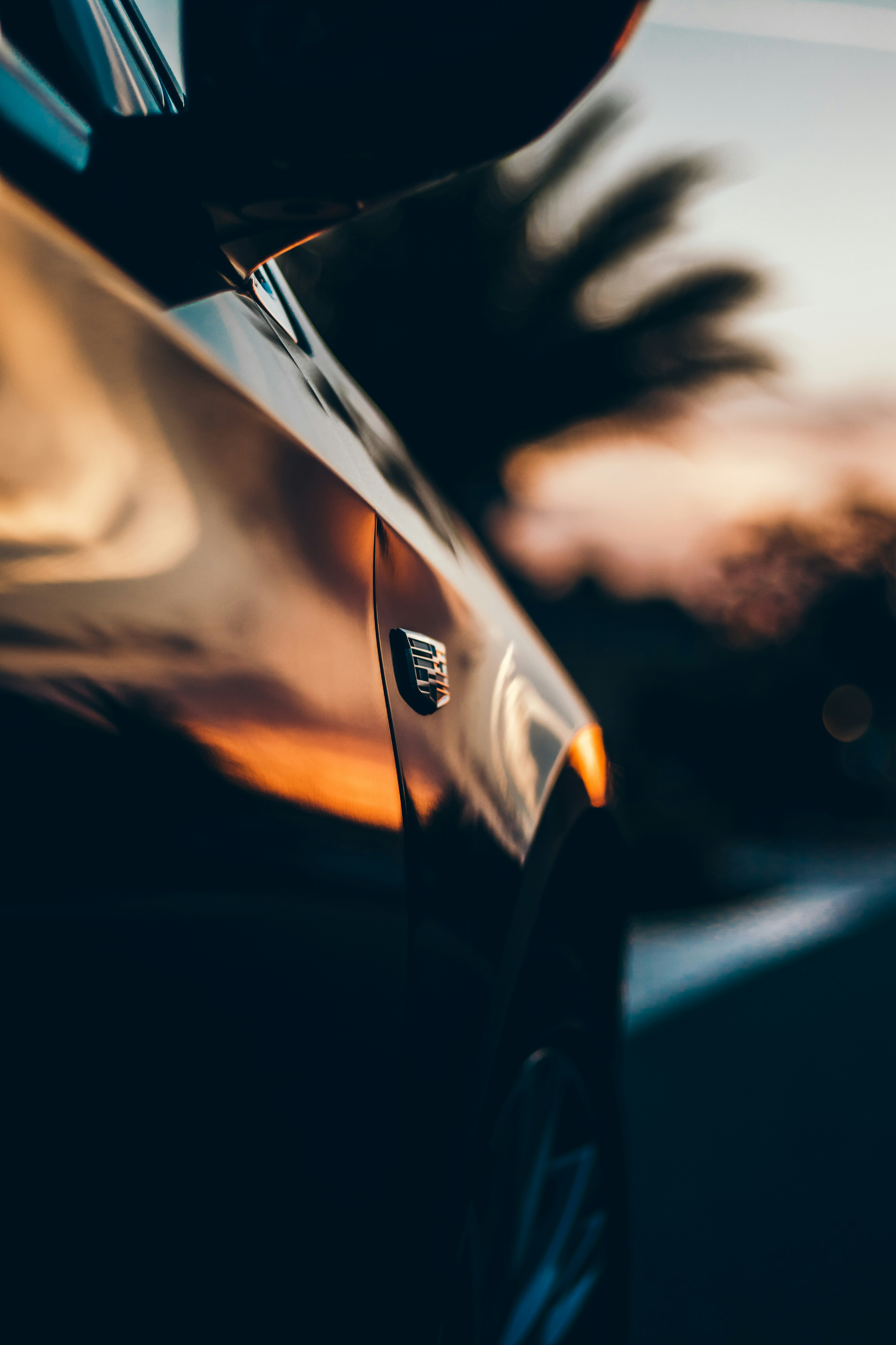 Photo by davidhurley