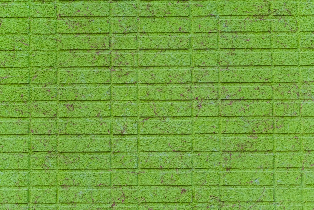 a green brick wall that has been painted green