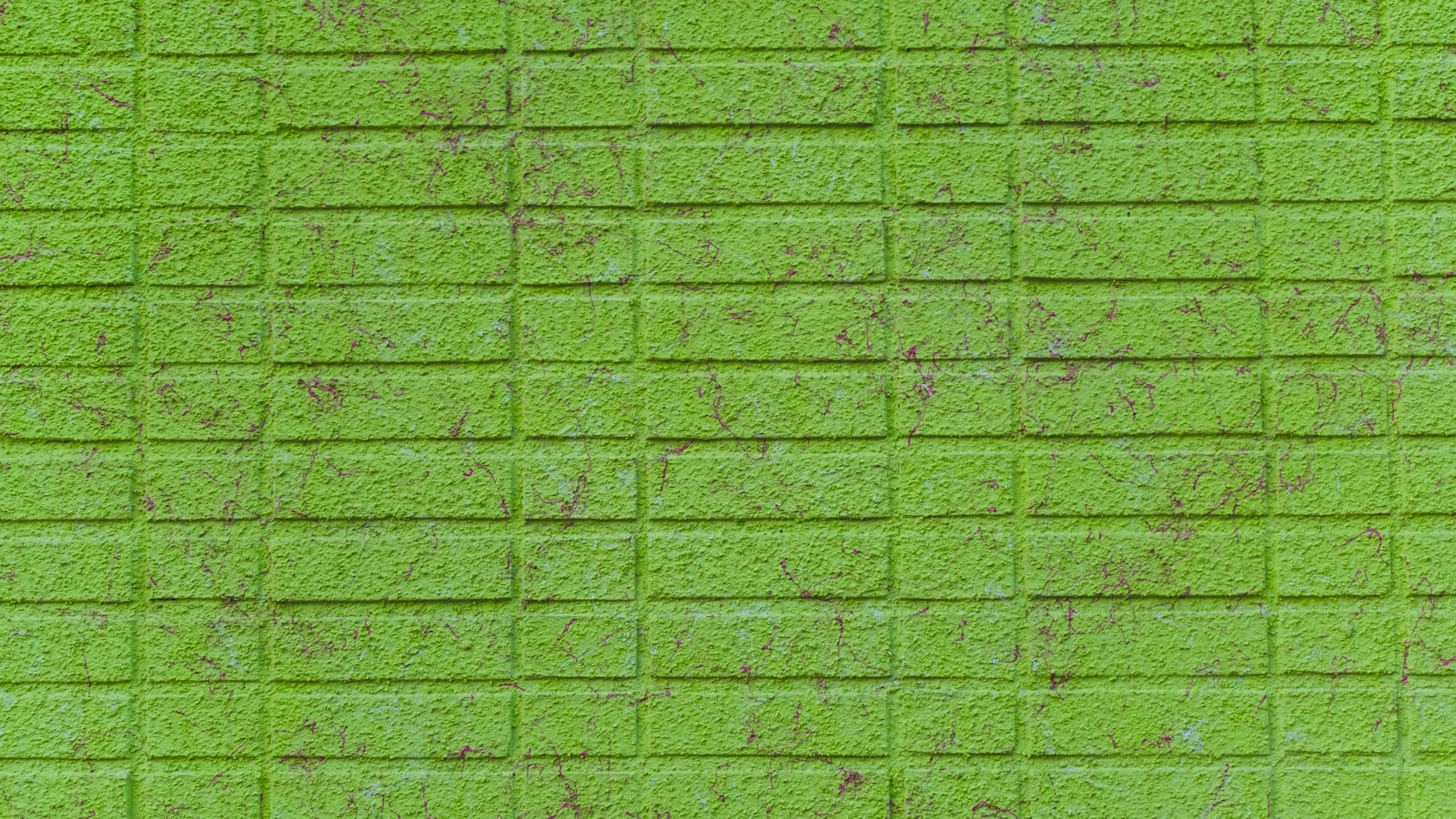 A Greener Tomorrow: Tips to Prevent and Remove Green Balls from Your Soil