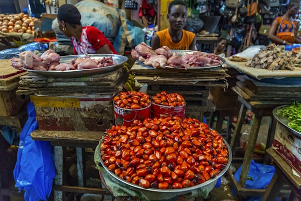 Ivory Coast: Culture & Traditions Revealed