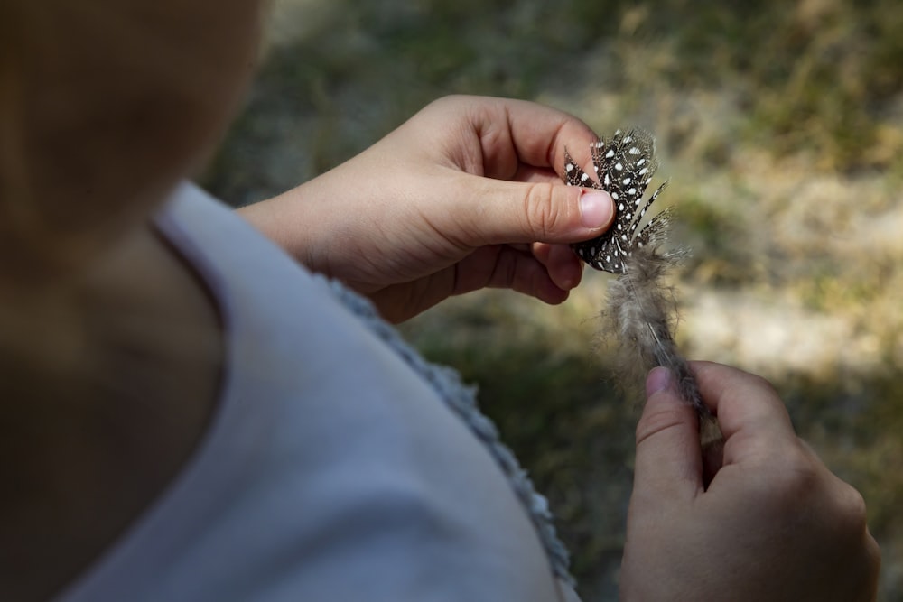 person holding brown feather