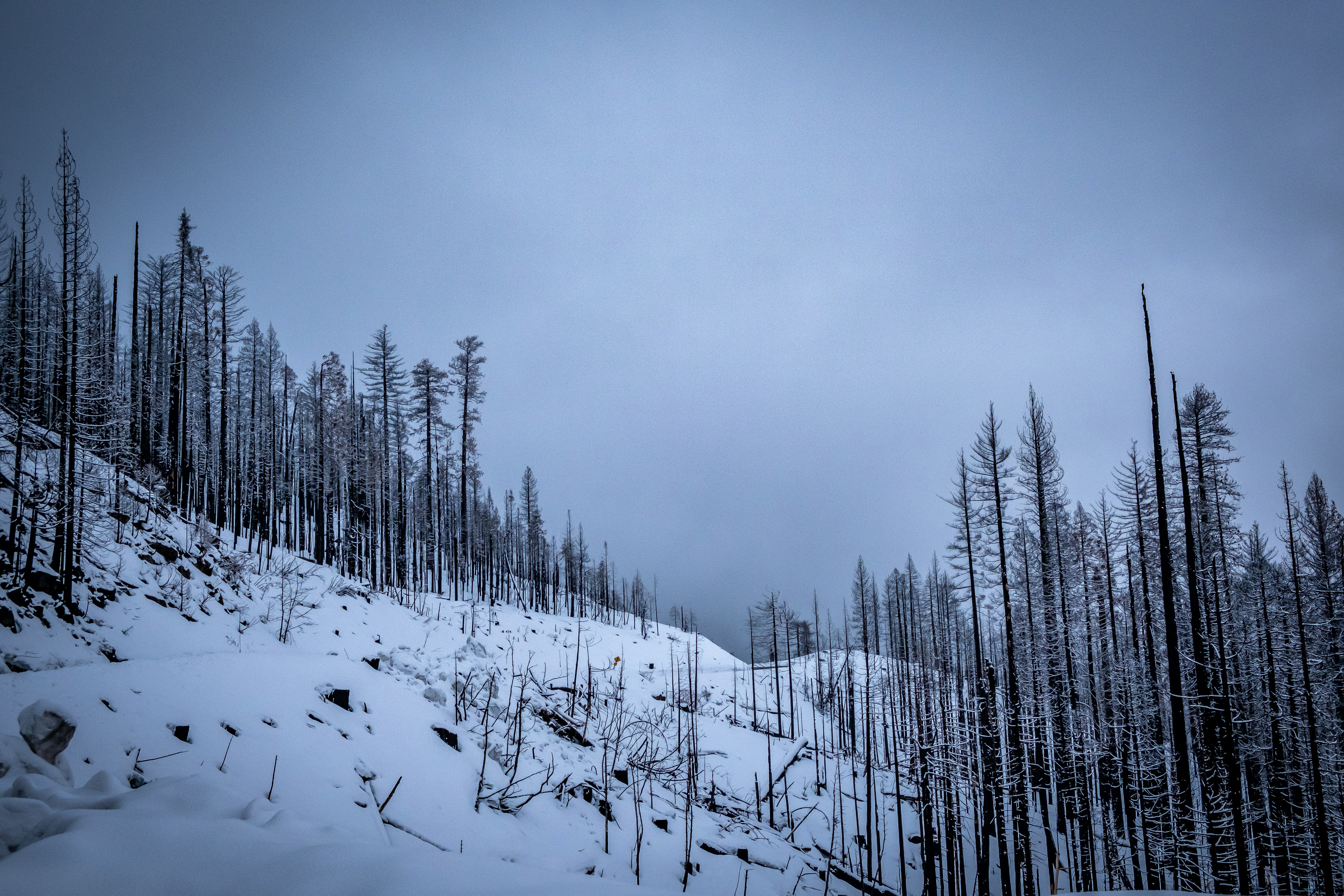 Photo by kalaniparker