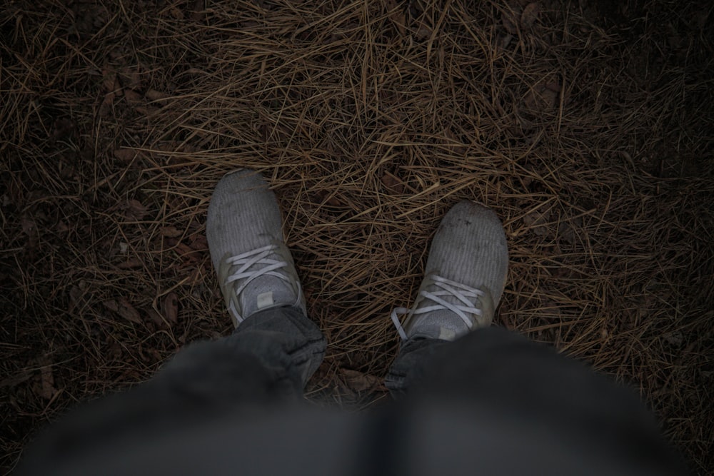 person wearing gray sneaker standing on brown hay