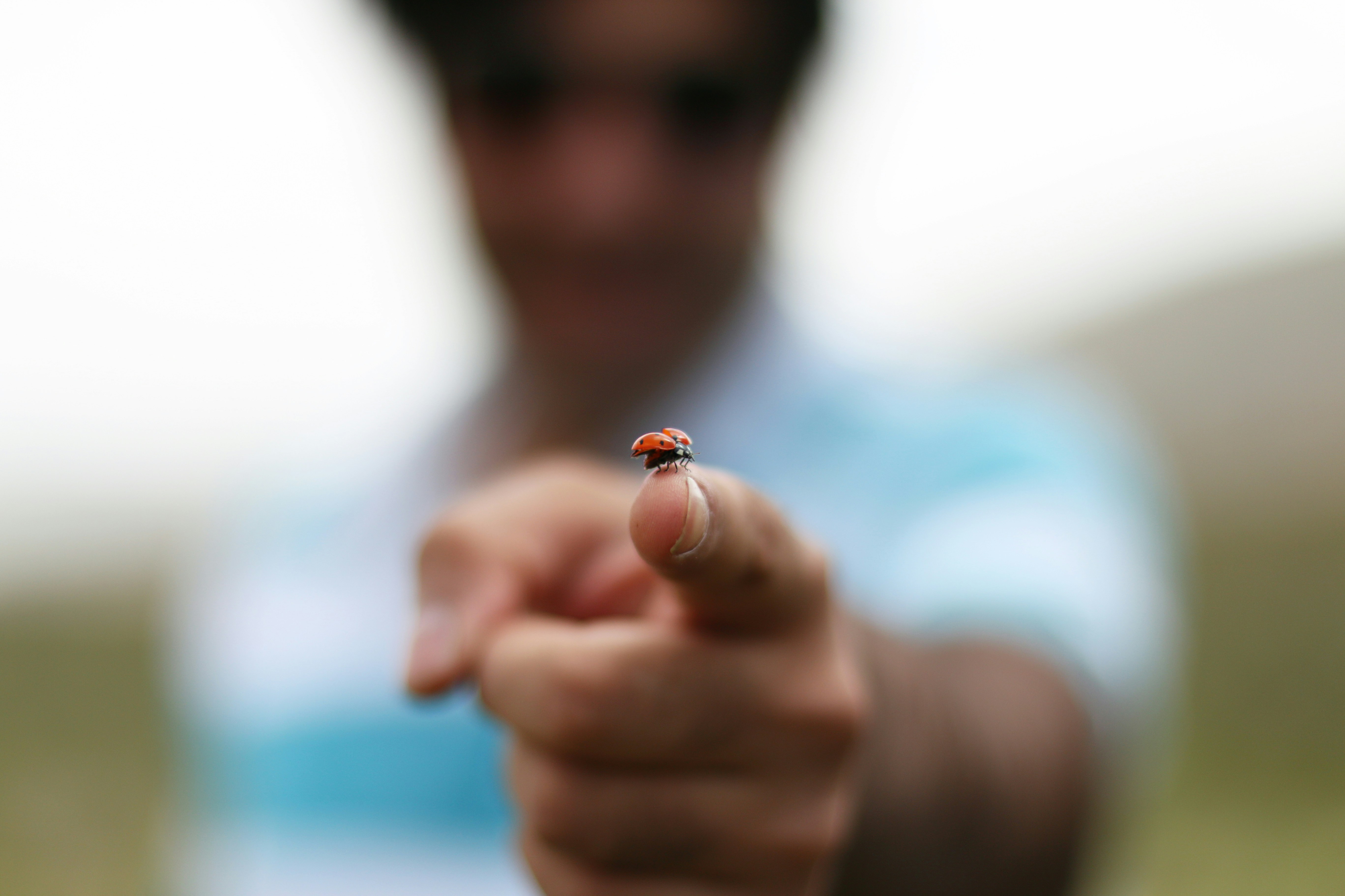 Temperament to Personality: Mapping the Transformation of Biological Givens