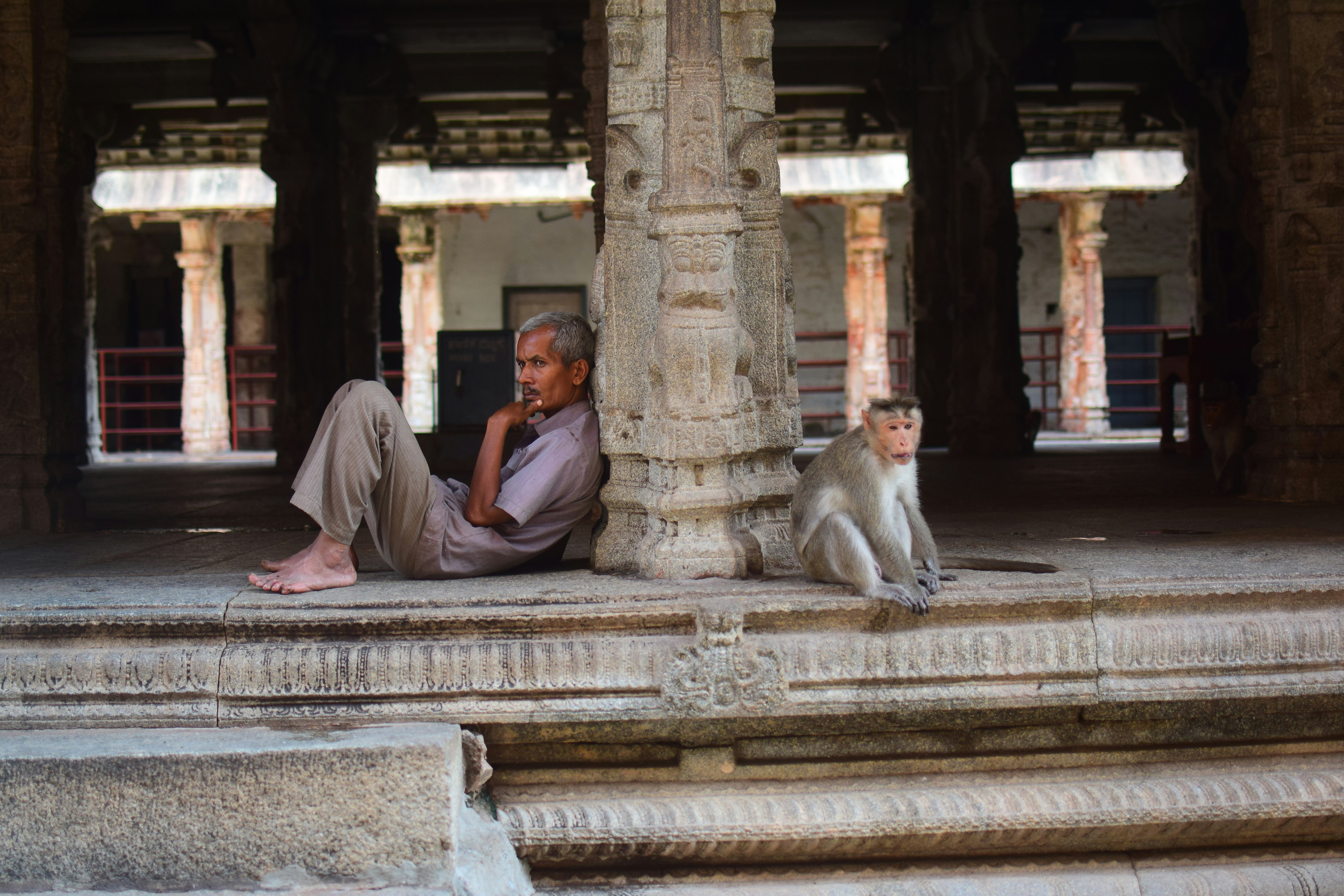 man leaning on pillar beside primate