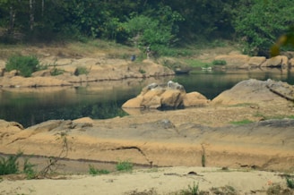 A peaceful setting with calming elements for relaxation.