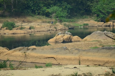 A peaceful outdoor setting with nature elements promoting tranquility and healing.
