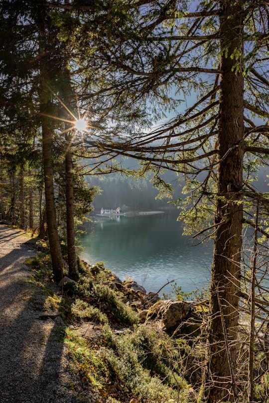 green trees beside calm water at daytime in Eibsee Germany