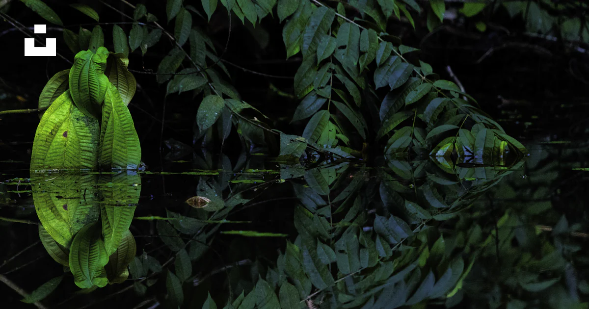 A large green object floating on top of a body of water photo – Free ...