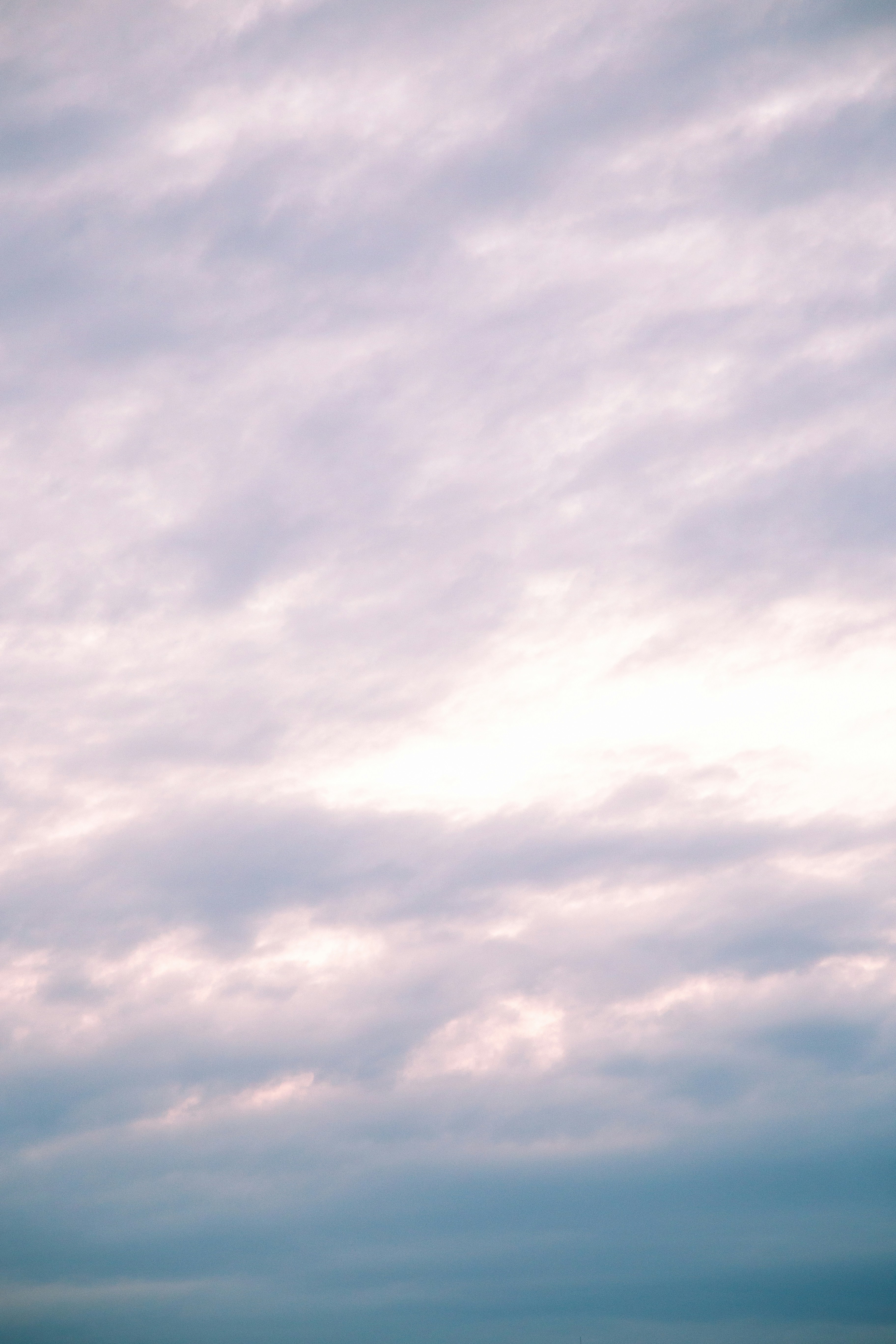 Photo by lysanderyuen