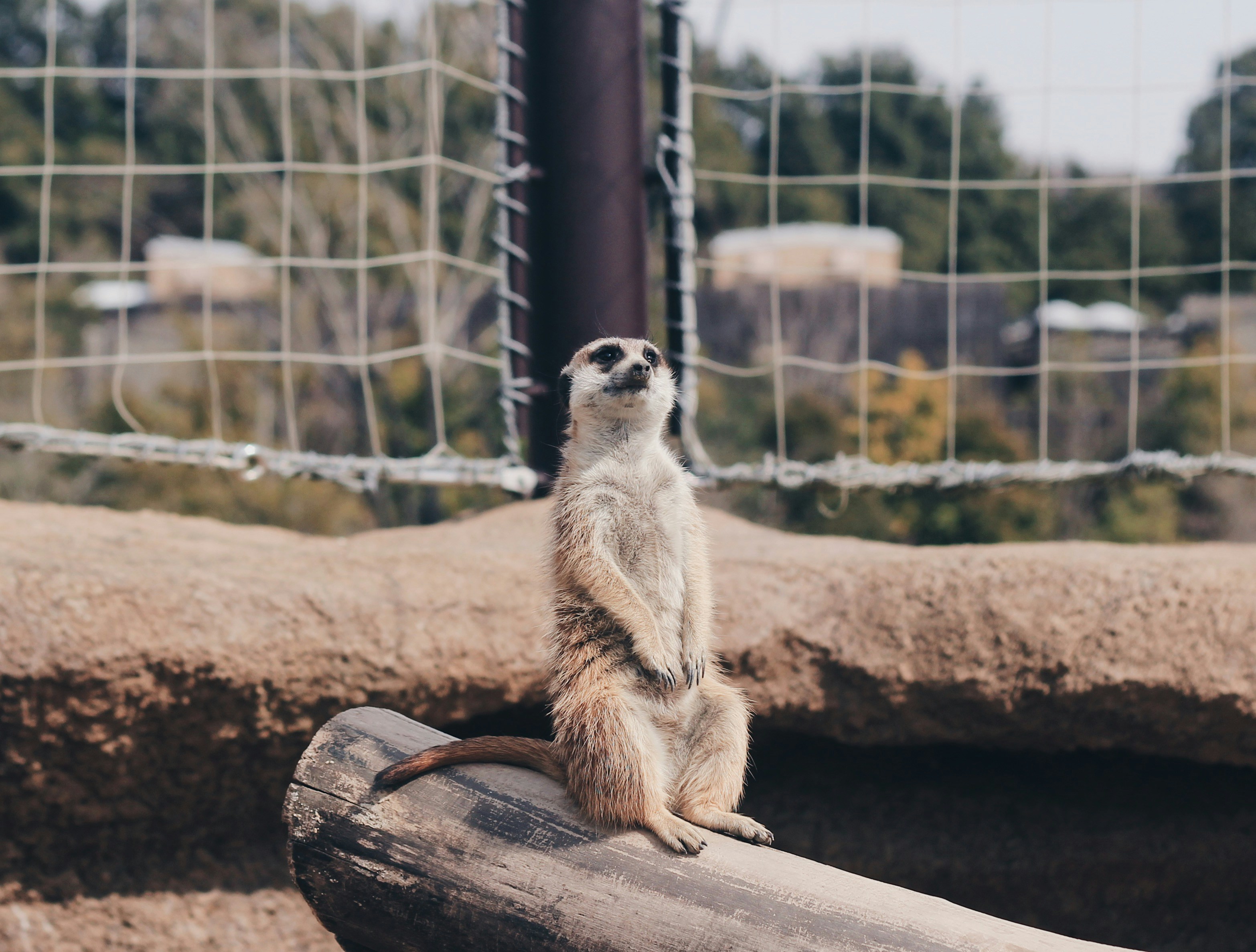 Photo by estersthetic