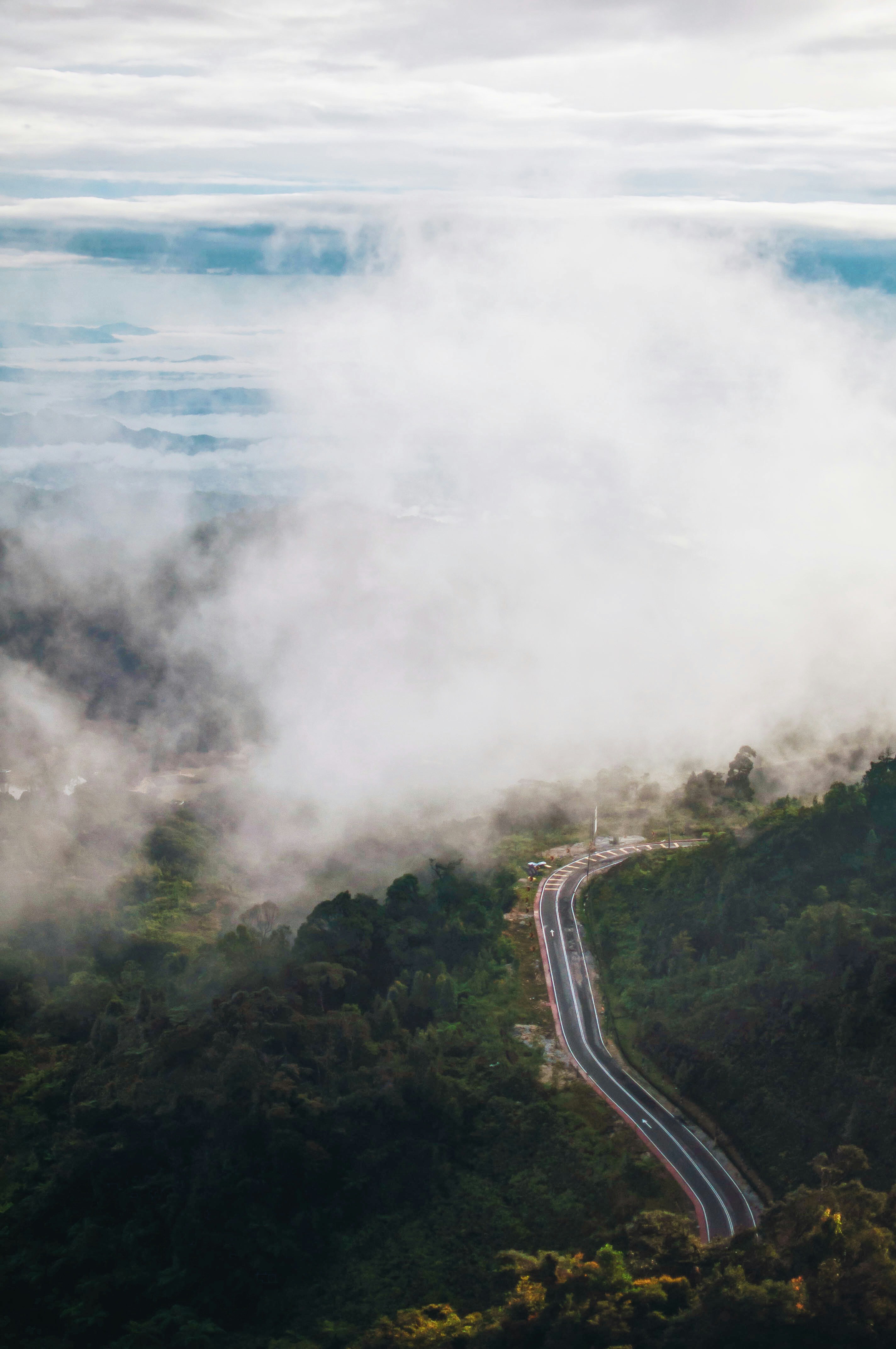 Photo by jackthepotato